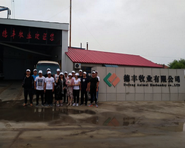 德豐牧業(yè)全體員工向全國(guó)人民問(wèn)好！